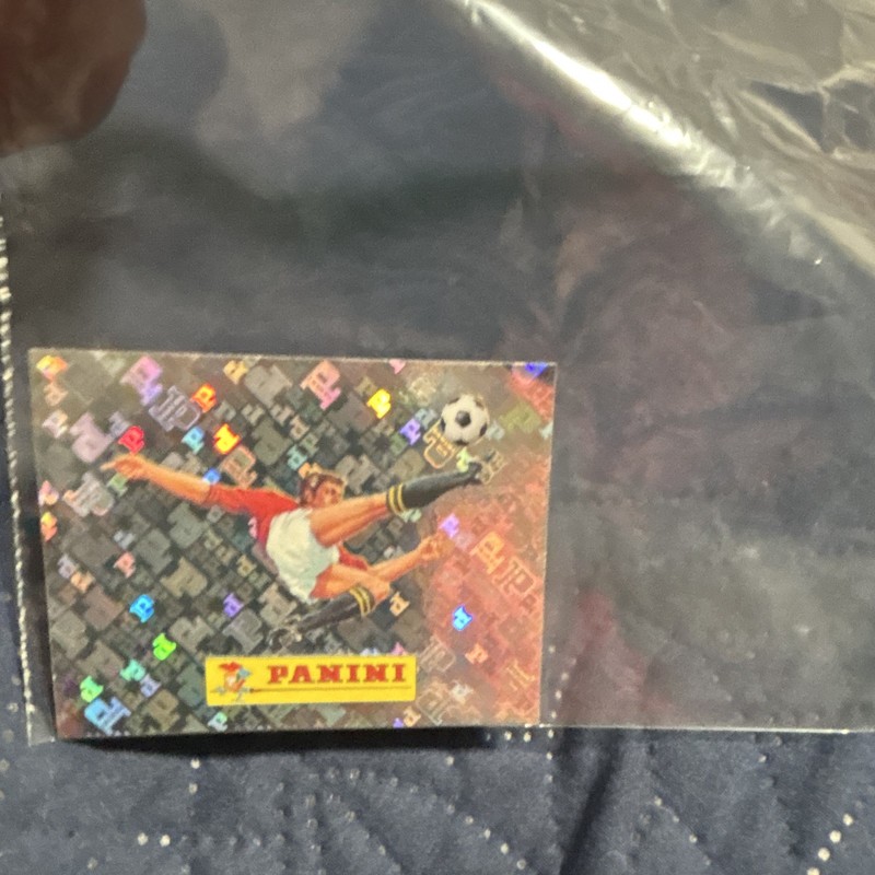 Panini FIFA World Cup Soccer Trading Card Sticker #20 Hologram
