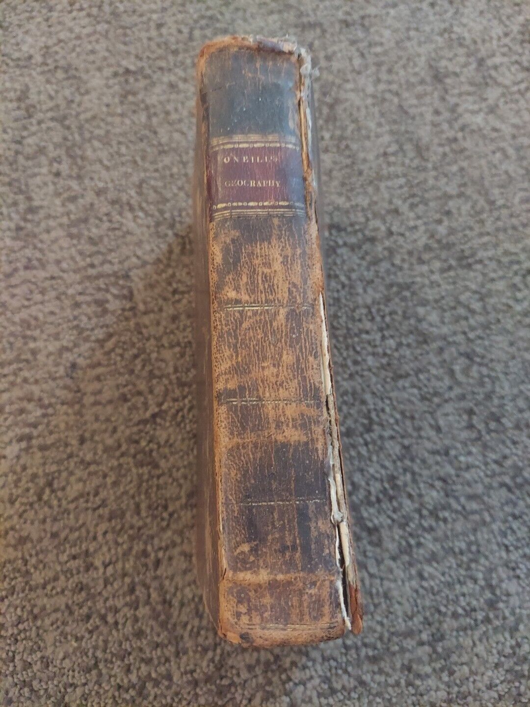 Picture 2 of 13