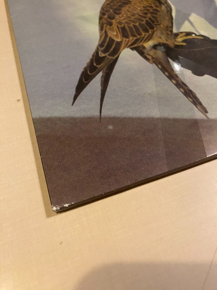 You're Nothing Vinyl Record LP By Iceage 2013 Matador