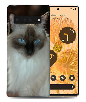CASE COVER FOR GOOGLE PIXEL|RAGDOLL CAT 8
