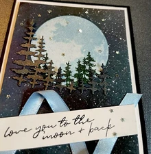 4 Stampin Up! “Love You to the moon & back” Masculine Card Kit  Forest Nature