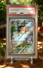 ??Mystery Pok�mon Graded Slab 8-10 | Japanese, English, Chinese | 1 Random Slab