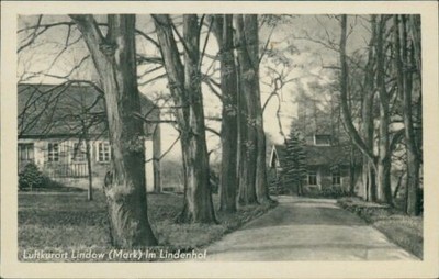 Ansichtskarte Lindow Markt im Lindenhof   (Nr.9068)