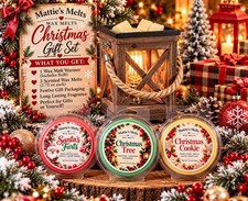 Christmas Wax Melt Warmer Gift Set with 3 Scented Wax Melts Holiday Gift