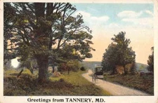 Tannery Maryland Horse Carriage Greeting Antique Postcard K81252