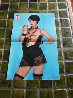 Poster Doppelseite Mitte (50 x 33 cm) - Elsa Martinelli - 1978