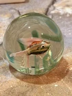 Vtg Fratelli Toso Murano Fish in Seaweed 3" Handblown Paperweight Glass Aquarium