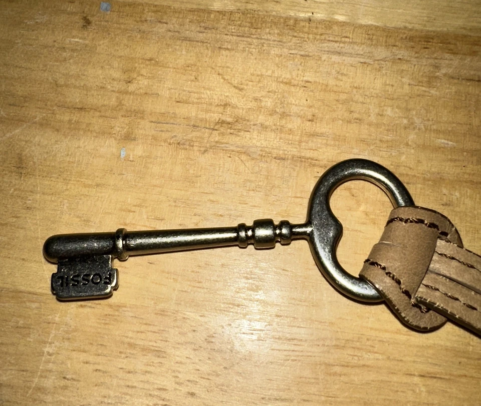 Llavero fósil etiqueta colgante para bolso monedero o llaves correa de cuero Foto 3 de 4