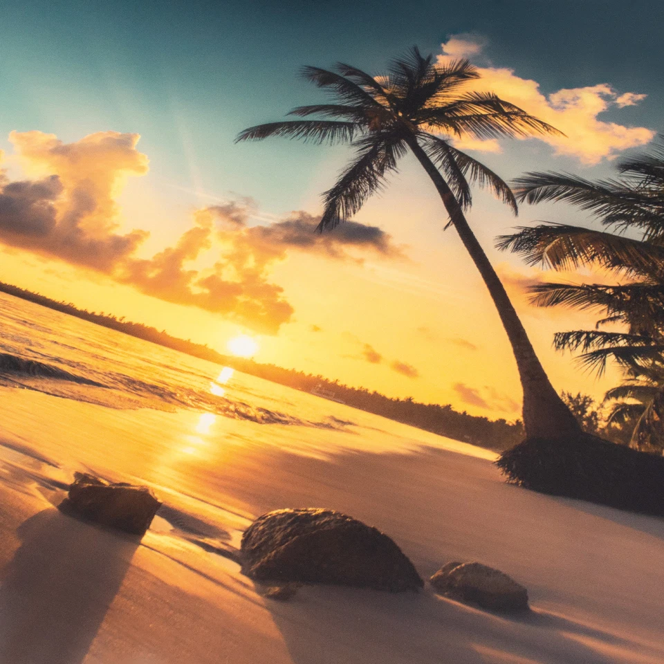 Laptop Folie Aufkleber Sticker 13"-17"Zoll Skin LP89 Palmenstrand - Bild 2 von 4