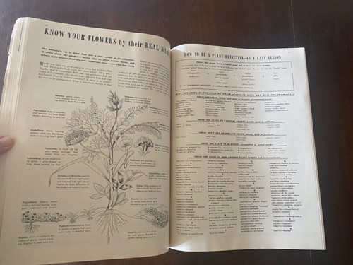 Vintage House Beautiful February 1943 Advertisements Decorating Gardening Recipe - Picture 11 of 24