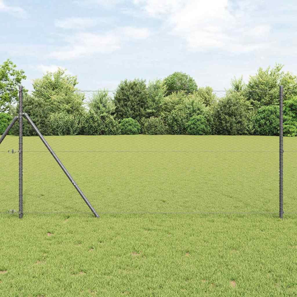 Recinzione Design Grigio 10 m x 1 m - Maglia 25 mm Acciaio Antracite