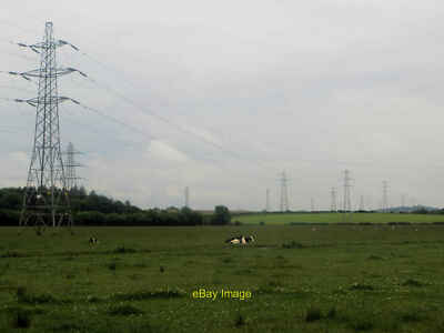 Photo 6x4 Cattle and power lines Row Brow A few cattle are lying in a lar c2016