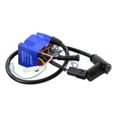 POLINI Programmierbare Zündspule Stator PVL BETAMOTOR 50 ARK AC 1996-2007