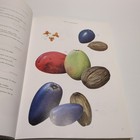 Bild 13 von 18