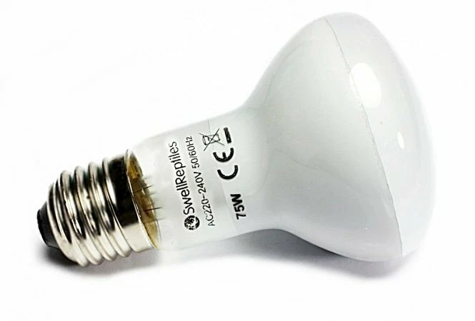 Swell Reptiles Basking Heat Lamp 3 pack of 35w - 150w ES Screw Fittings