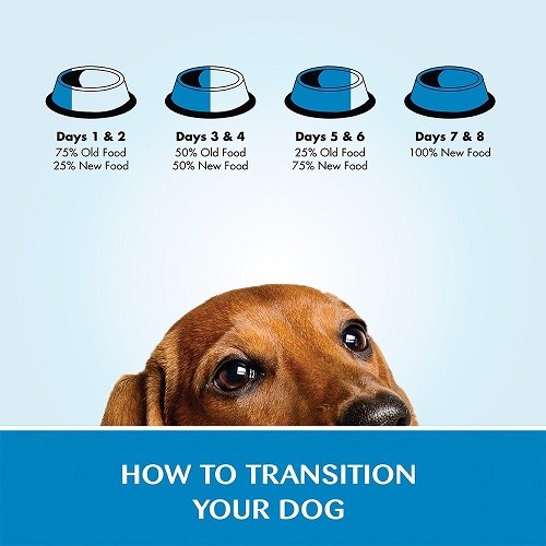 Fromm Gold Holistic  Adult Dry Dog Food Chicken Lamb Duck with Grains 30 lb