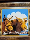 VINTAGE CATTLE PORCELAIN SIGN OLD RANCH COW REGISTERED GUERNSEY WESTERN FARM 12"