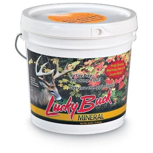 Lucky Buck Mineral