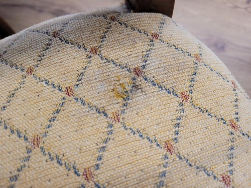 Four Vintage Art Nouveau Style Oak Dining Chairs Upholstered Seats and Backs - Picture 9 of 19