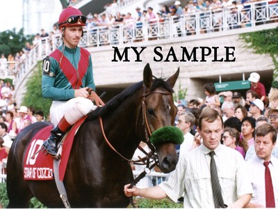 STAR OF COZZENE 1992 ARLINGTON MILLION STAKES RACE TRACK 8 X 10 PHOTO #1