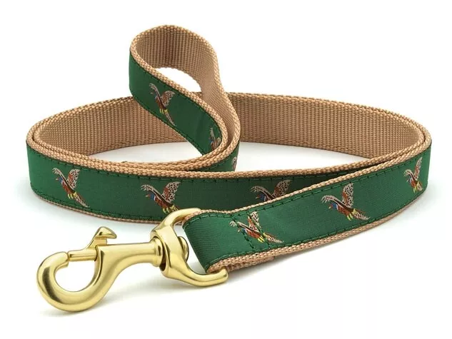 Up country hotsell dog leash