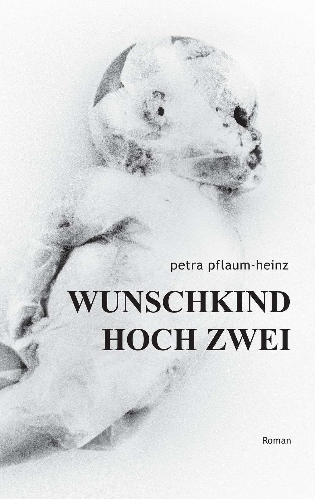 Thumbnail - Petra Pflaum-heinz | Wunschkind Hoch Zwei | Taschenbuch | Deutsch