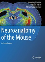 Neuroanatomy Of The Mouse An Introduction HannsjöRg SchröDer (U. A.) Taschenbuch