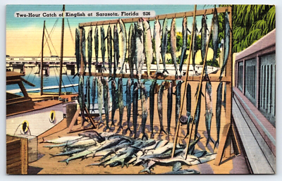 #ad Vintage Postcard Old Antique Bridge Boat Fishing King Fish Sarasota Florida USA $0.99