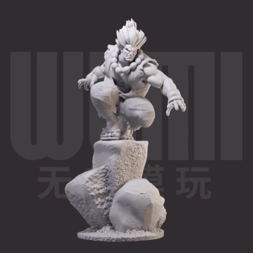 1/24 resin figures model kit Haunted Street Fighter unassembled unpainted - Picture 1 of 3