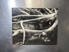 Sticks Original B&W Ephemera