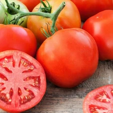 100+ Giant Tomato Seeds - Indeterminate | Non-GMO Garden Seeds USA