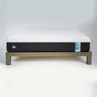 Sealy Firm Twin Mattresses