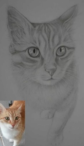 Art, Portraits from photos,hand made Custom drawings ,paintings, original - Picture 21 of 24