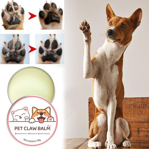 Paw Balm for Cats 50g Soothing Cat Paw Protector Cream Pet Feet