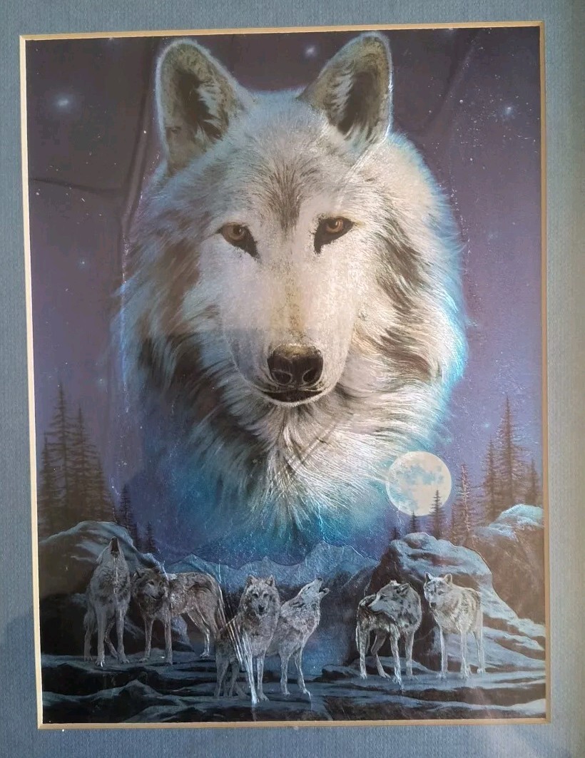 Wolf Metal Etchings Arizona Framed Wall Art Wildlife 10x11.5