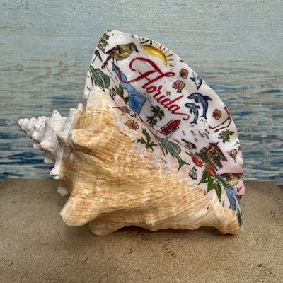 Seashell FLORIDA Decoupage conch Shell 9 x6 1/8 Home Decor Handmade