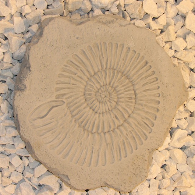 Cast Stone Cement Ammonite Fossil Stepping Stone Concrete Outdoor