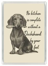 DACHSHUND CUTE DOG HOLDS SPOON IN MOUTH DOG NOVELTY FRIDGE MAGNET GREAT GIFT