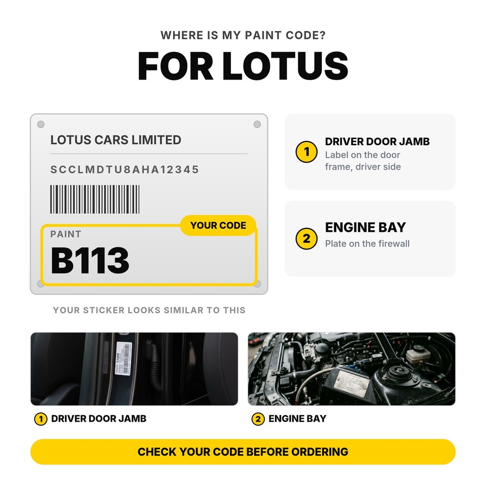 Touch Up Paint For Lotus B102 Aubergine Purple Set Exact Match Body ...