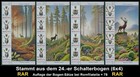Bild 7 von 13