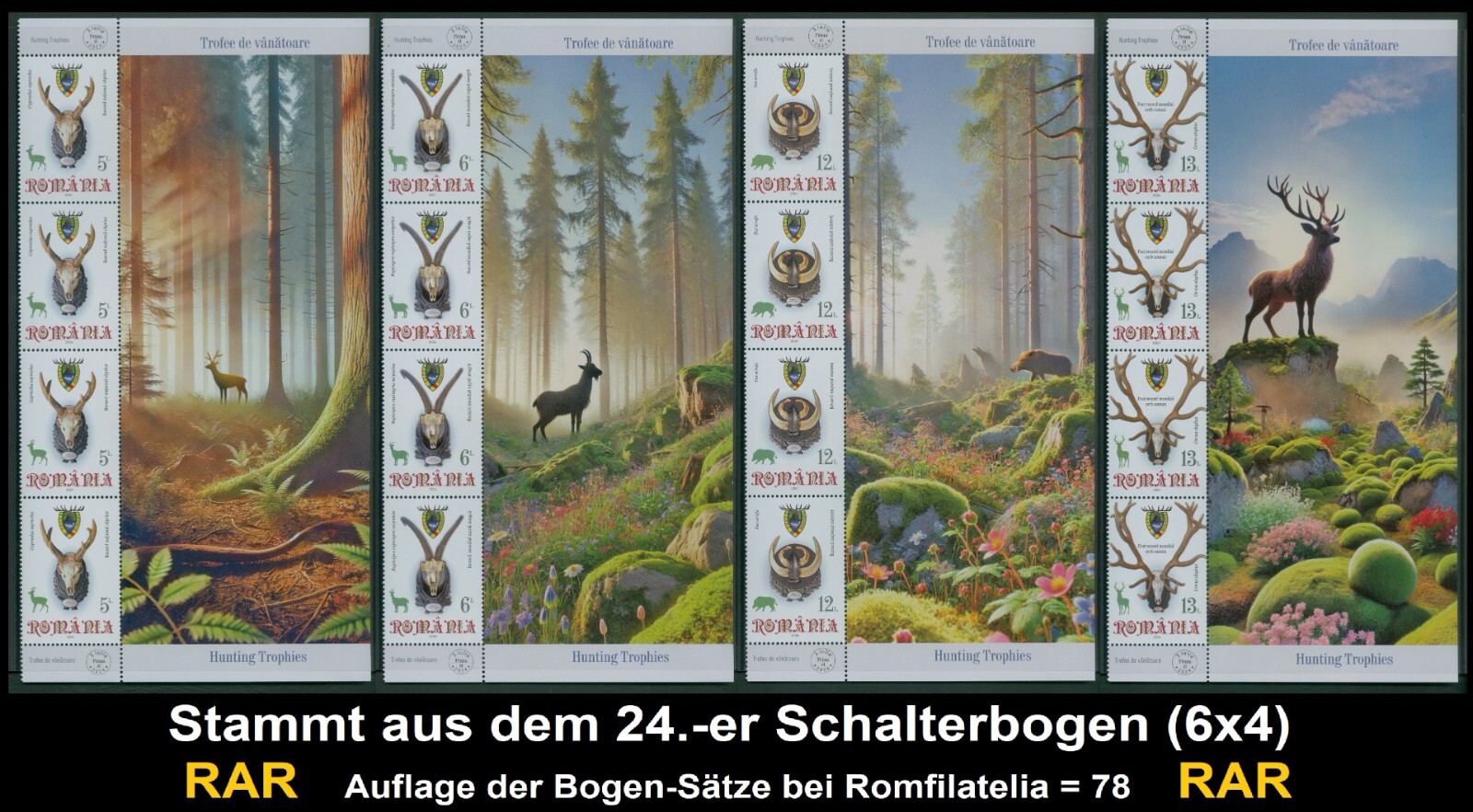 Bild 7 von 13