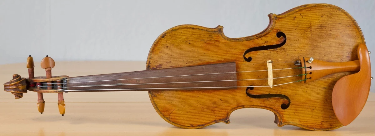 Panormo violin 2024