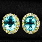 24K Gold 925 Sterling Silver Earrings Precious Sea Blue Aquamarine Oval 8.95Ct