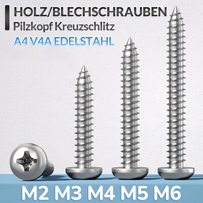 Holz/Blechschrauben Edelstahl A4 V4A Flachkopf M2 - M6 Pilzkopf Kreuzschlitz