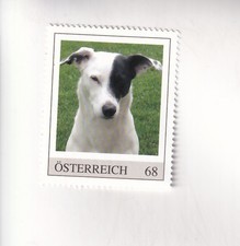 TIMBRE PM Autriche CHIENS MÉTIS - CHIEN Jack Russell Terrier MNH