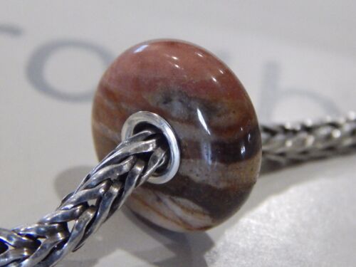 Cuentas de piedras preciosas Trollbeads LE 2011 RARO Y DIFÍCIL DE ENCONTRAR como madera petrificada (una cuenta) ¡NUEVO! - Imagen 2 de 20