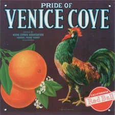 AD-VINTAGE STYLE METAL TIN ART REPRODUCTION HANGING SIGN-VENICE-CITRUS-ROOSTER