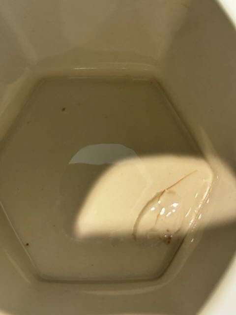 Picture 3 of 16