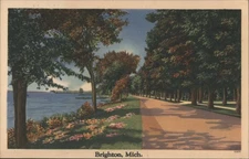 Brighton, Michigan MI Tree-lined Road Lake Tichnor 1956 Lakeland Chicago, IL