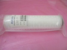 Entegris CN0301T06 Mykrolis Filter, ProcessGard CN, 10", 0.3 Micron, 409953